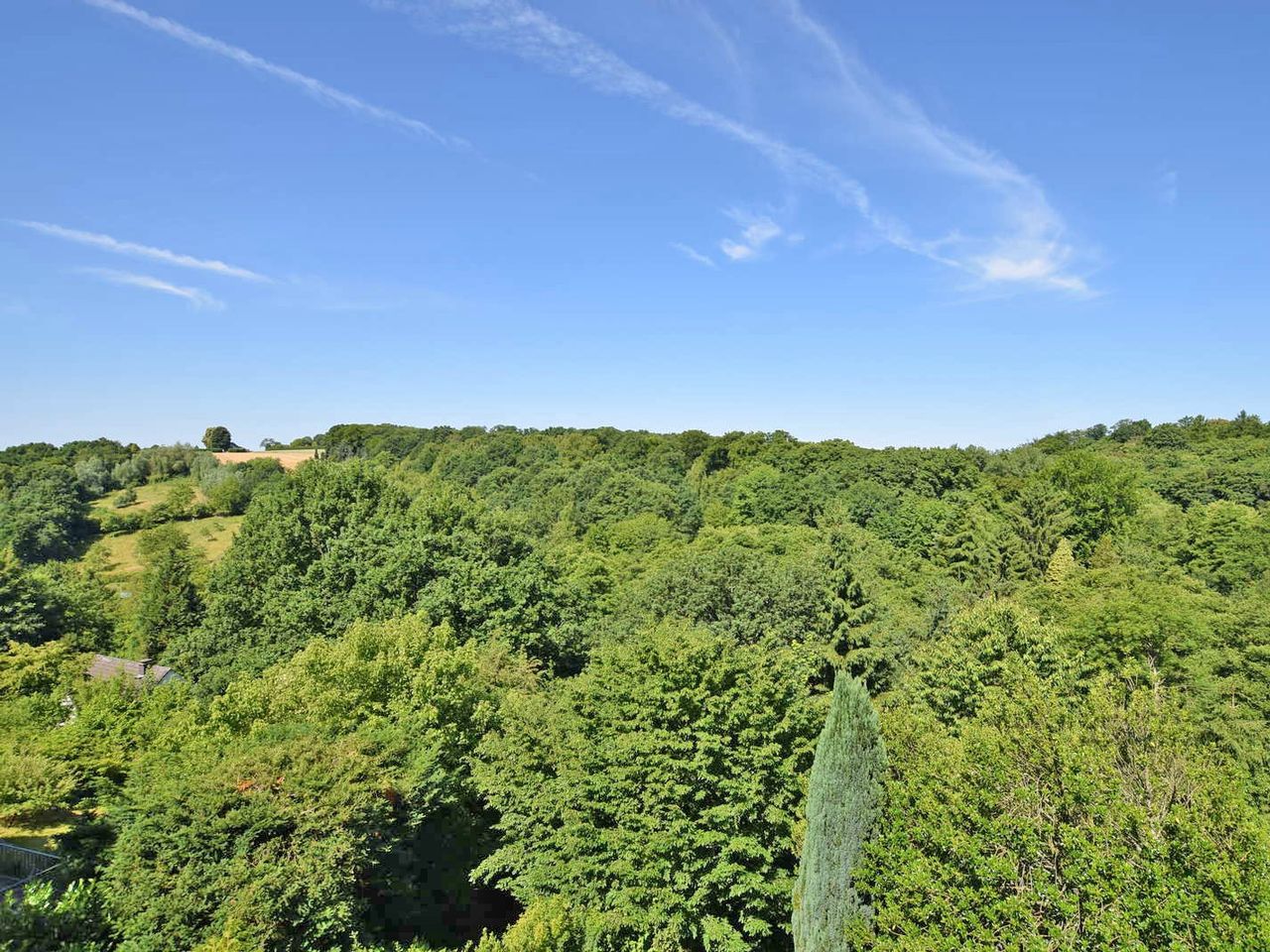 Ausblick