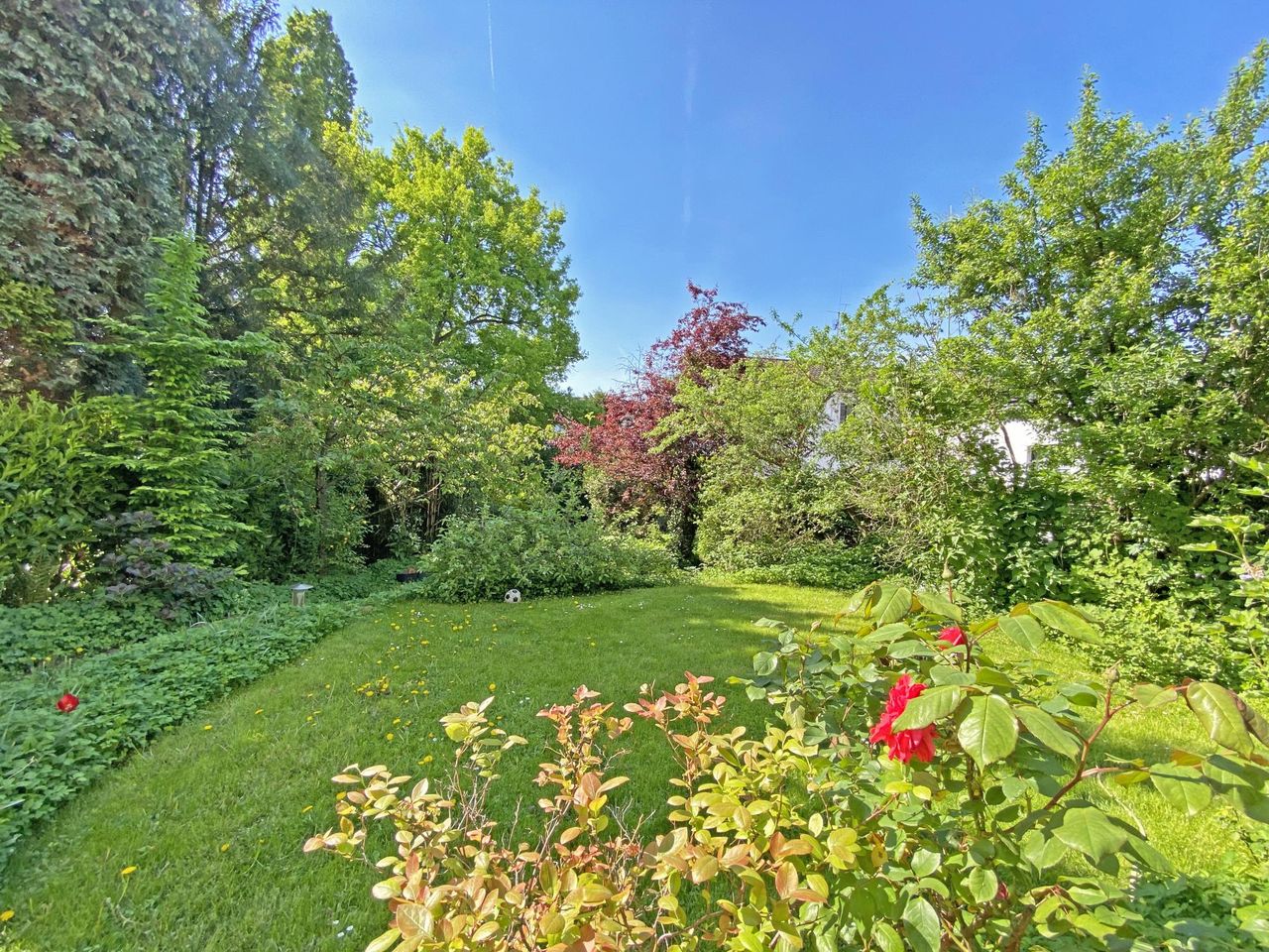 Gartenansicht
